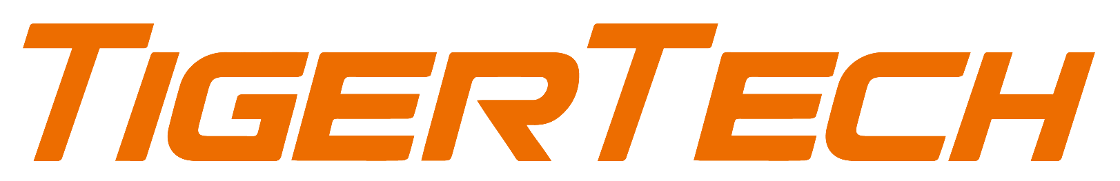 Footer Logo